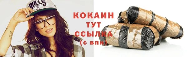 стаф Новодвинск