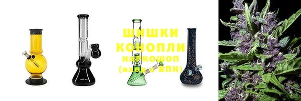 стаф Новодвинск