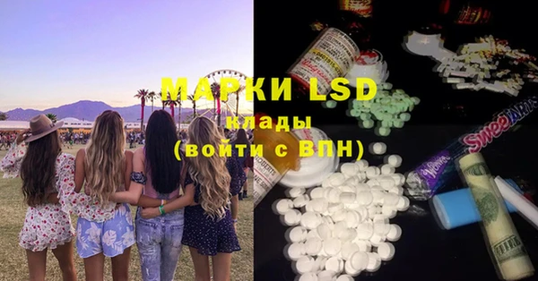 стаф Новодвинск