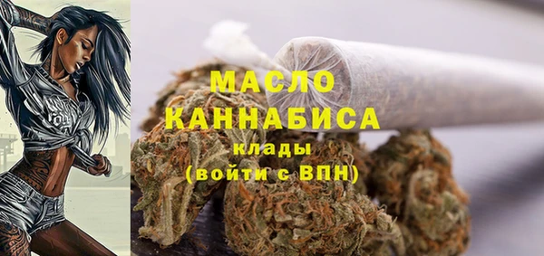 стаф Новодвинск