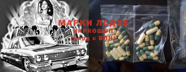 стаф Новодвинск