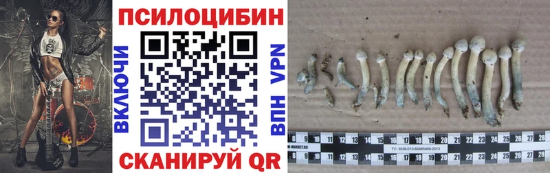 Купить закладки  Кандалакша  Псилоцибиновые грибы мицелий 